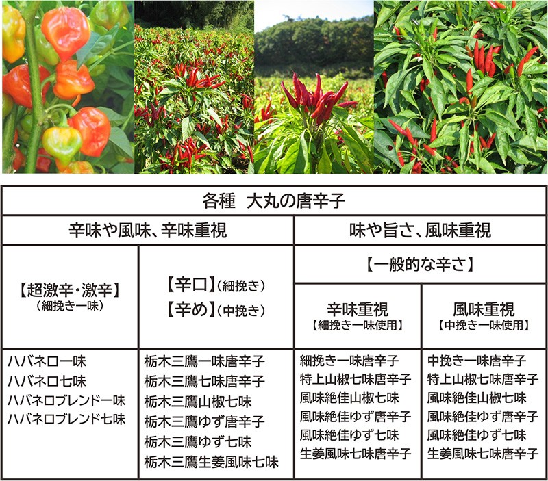  ультра . - spring ro смешивание соотношение показатель . выбор - spring ro Blend Tochigi Mitaka один тест красный острый перец 1 пакет большой круг. красный острый перец 