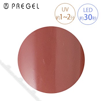 PREGEL プリジェル カラーEX N109 イングリッシュレッドR 3g ネイル用ジェルの商品画像