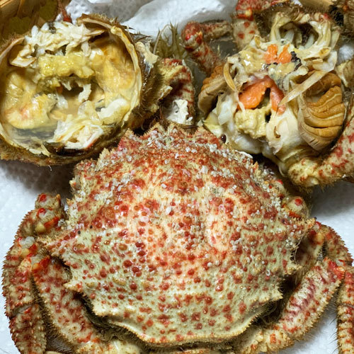 togekligani. crab free shipping Aomori land inside .[togekligani1kg rom and rear (before and after) 4-6 cup ] female limitation .. Tama . shipping crab . crab [* refrigeration flight ][* direct delivery from producing area therefore including in a package un- possible ]