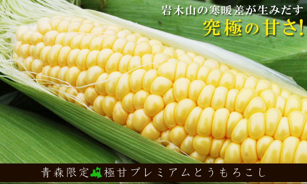  ultimate .. ultimate . corn ... free shipping Aomori prefecture . boast of brand [ corn ...20ps.@] only ..[* goods kind designation un- possible ][* direct delivery from producing area therefore including in a package un- possible ]