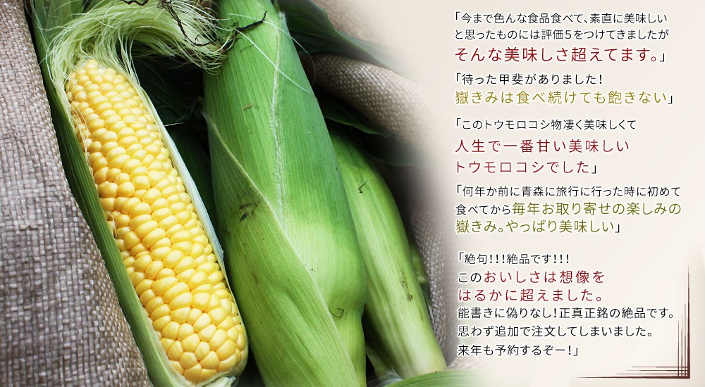  высшее .. высшее . кукуруза ... бесплатная доставка Aomori префектура . хвастаться бренд [ кукуруза ...20шт.@] только ..[* товар вид указание не возможно ][* прямая поставка от производителя поэтому включение в покупку не возможно ]