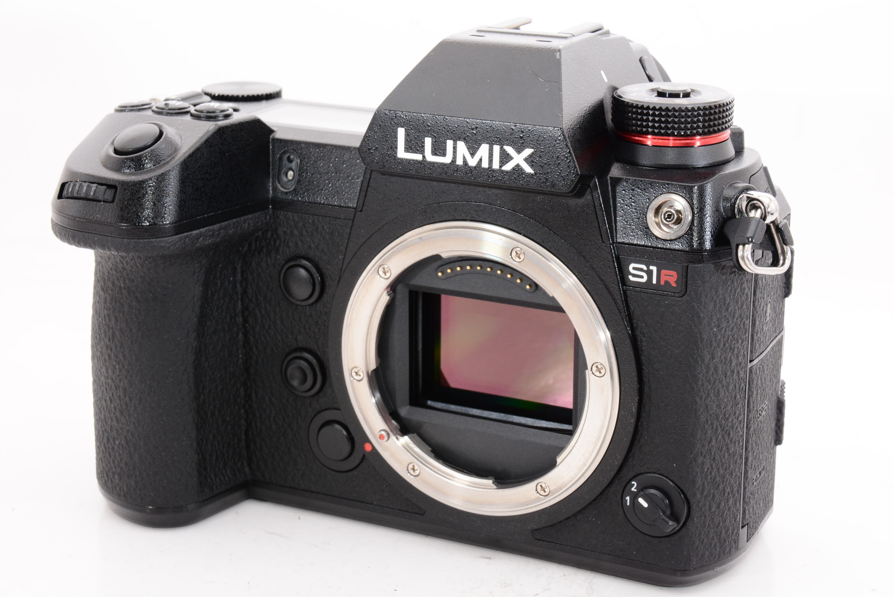 パナソニック ルミックス LUMIX DC-S1R-K ボディ（ブラック） ミラー