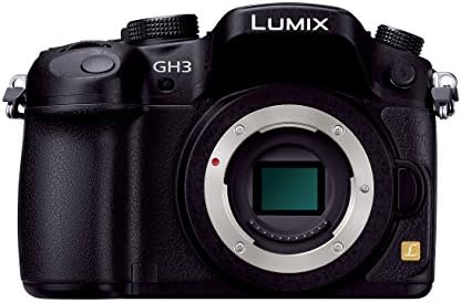 極上美品 パナソニック Panasonic LUMIX DMC-GH3 ボディ ミラー