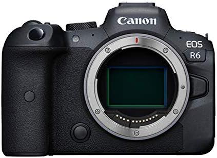 キヤノン　Canon EOS R6 ボディ S数13000回以下 1573 キヤノン EOS R6 ボディ EOS EOS Rシステム ミラーレス一眼カメラ - 最