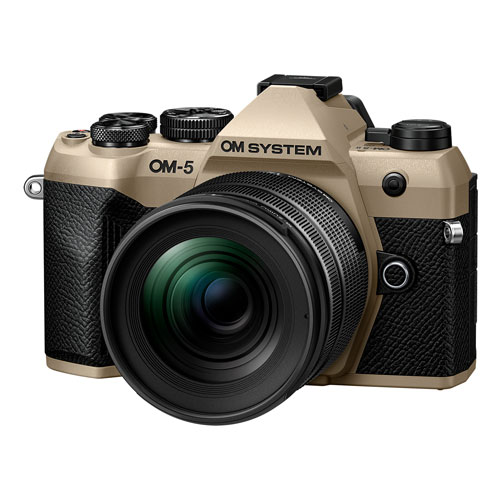 ニコン Nikon Z fc 16-50 VR SLレンズキット シルバー Zシリーズ
