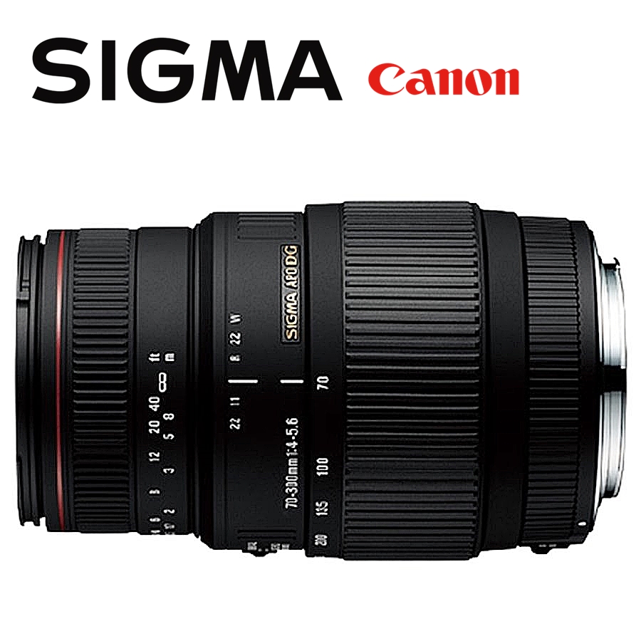 SIGMA シグマ APO 70-300mm F4-5.6 DG MACRO キヤノン用 交換レンズ
