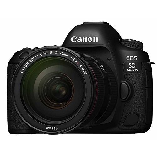 キヤノン EOS 5D Mark IV（WG）EF24-70L II USM レンズキット デジタル 