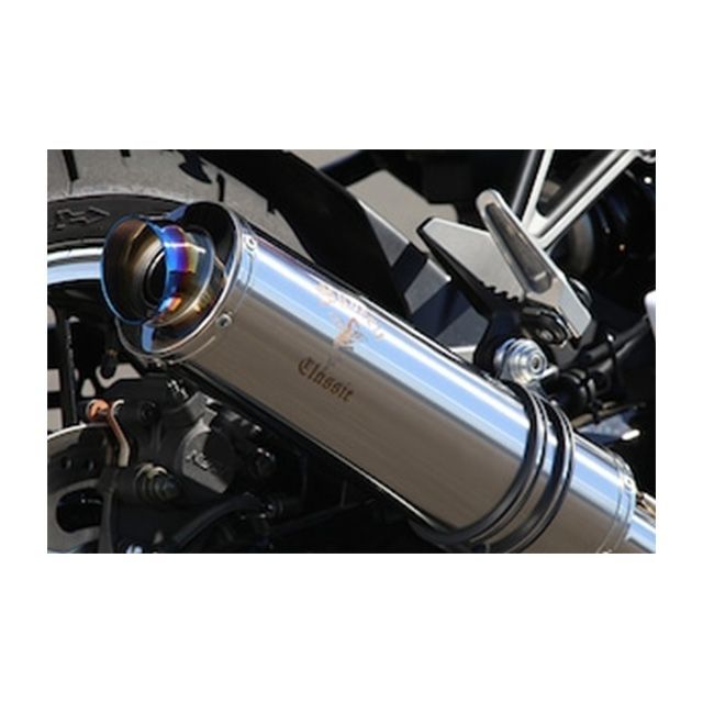 Sタイプ / チタンポリッシュ