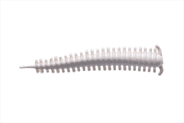 Gulp！Saltwater Sandworm 2inch ホワイトの商品画像