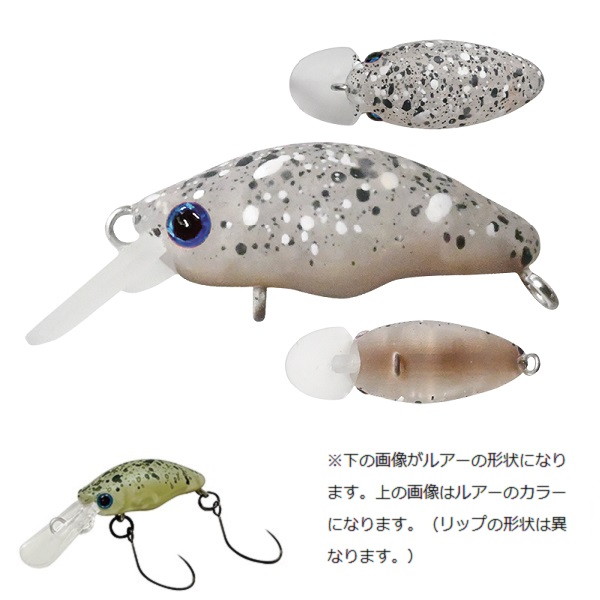 DR-Low / 14 ヤマゼミグロー