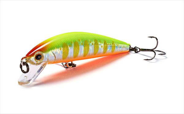 Normal / CYW チャートヤマメ