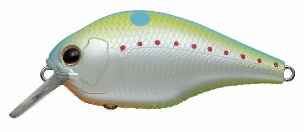 271 チャンピオンシャッド