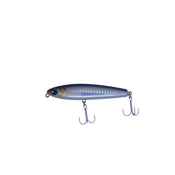 02 グローボラ（グローベリー）