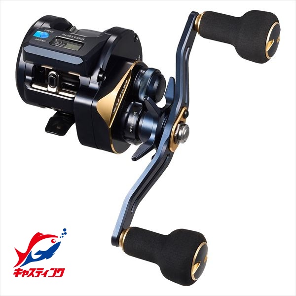 DAIWA（釣り） 25 ソルティガ IC 300H-SJ-C 釣り ベイトリール - 最