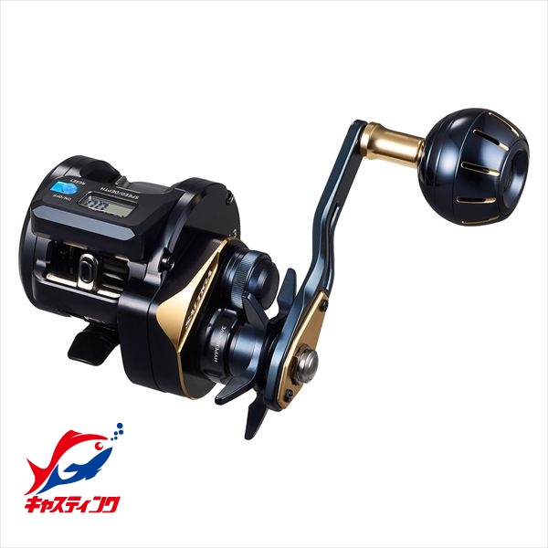 DAIWA（釣り） 25 ソルティガ IC 300H-SJ-C 釣り ベイトリール - 最