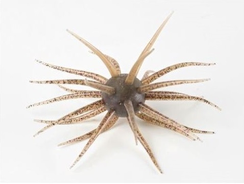 コイケフルキャストなどセット コイケフルキャスト 2個セット 4/0フック付き｜Yahoo!フリマ（旧PayPay