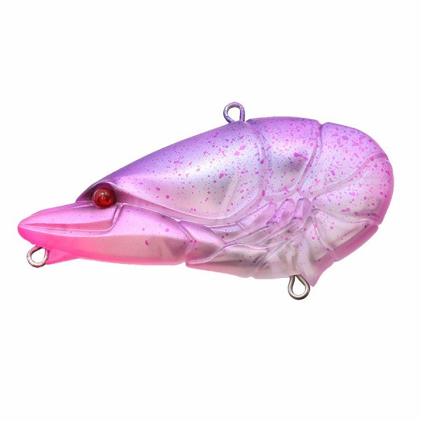 夕方シークレット