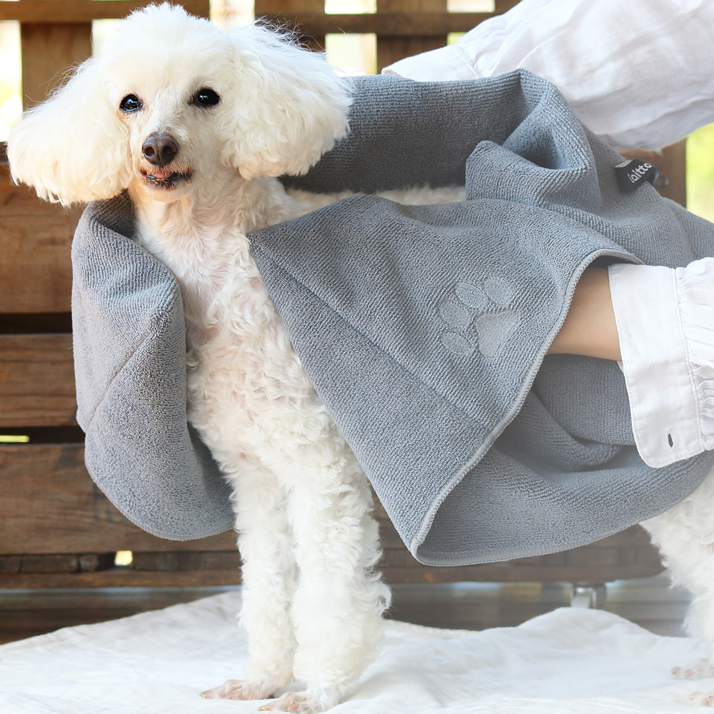 Taitto Quick dry полотенце собака для кошка для супер всасывание полотенце домашнее животное полотенце шампунь полотенце всасывание скорость . полотенце body .. полотенце собака для полотенце кошка полотенце 
