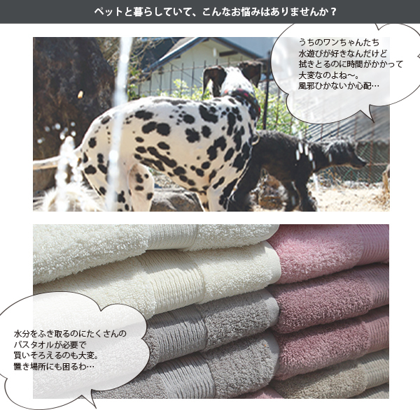 Taitto Quick dry towel dog for cat for super suction towel pet towel shampoo towel suction speed . towel body .. towel dog for towel cat towel 