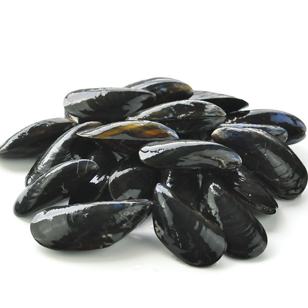 [Outlet]AOPmon sun mi shell production mussel approximately 1.4kg[ refrigeration ]