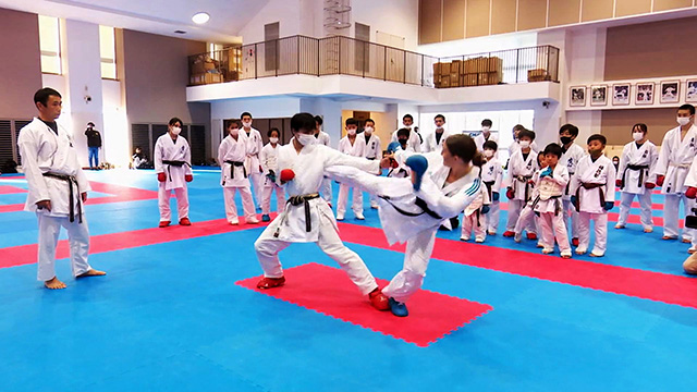 i Lee na* The retsuka Champion комплект рука семинар - реакция часть .. опасно Zone . совершенно контроль!- (DVD)