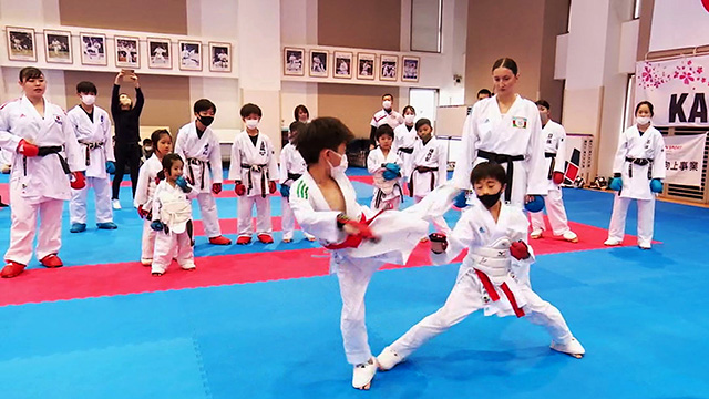 i Lee na* The retsuka Champion комплект рука семинар - реакция часть .. опасно Zone . совершенно контроль!- (DVD)