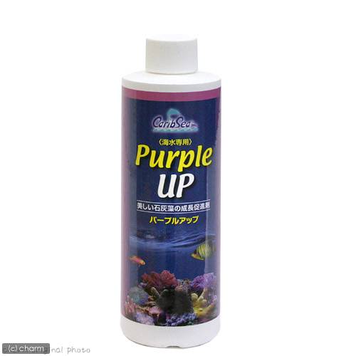  Carib si-kami is ta purple up 240ml sea water for 