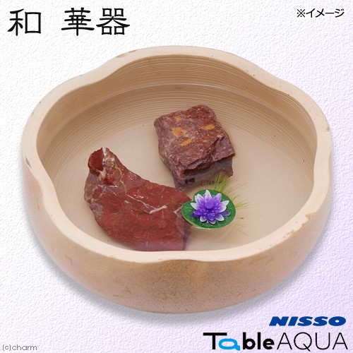  outlet niso- table aqua peace . vessel with translation 