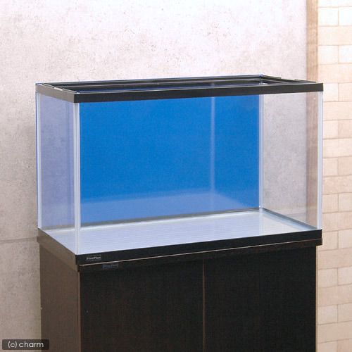 Leaf Corp 水槽用 丈夫な塩ビ製バックスクリーン 60×35cm 青 スカイブルー 60cm水槽用