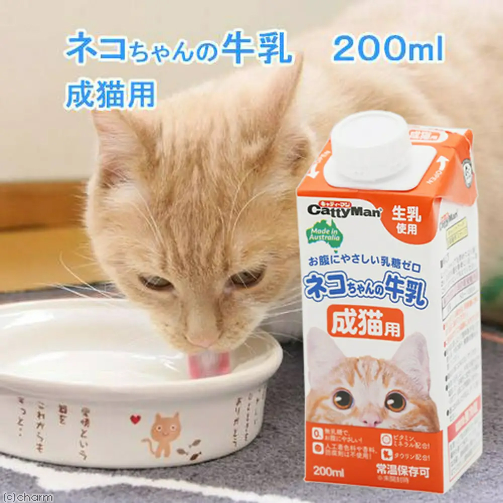 kya tea man cat Chan. milk for mature cat 200ml cat milk 