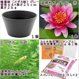 ( biotope )( medaka ) beginner oriented water lily pot ....me Dakar breeding set ( gray ) temperature obi . water lily red +. medaka 6 pcs instructions attaching Honshu Shikoku limitation breeding set 