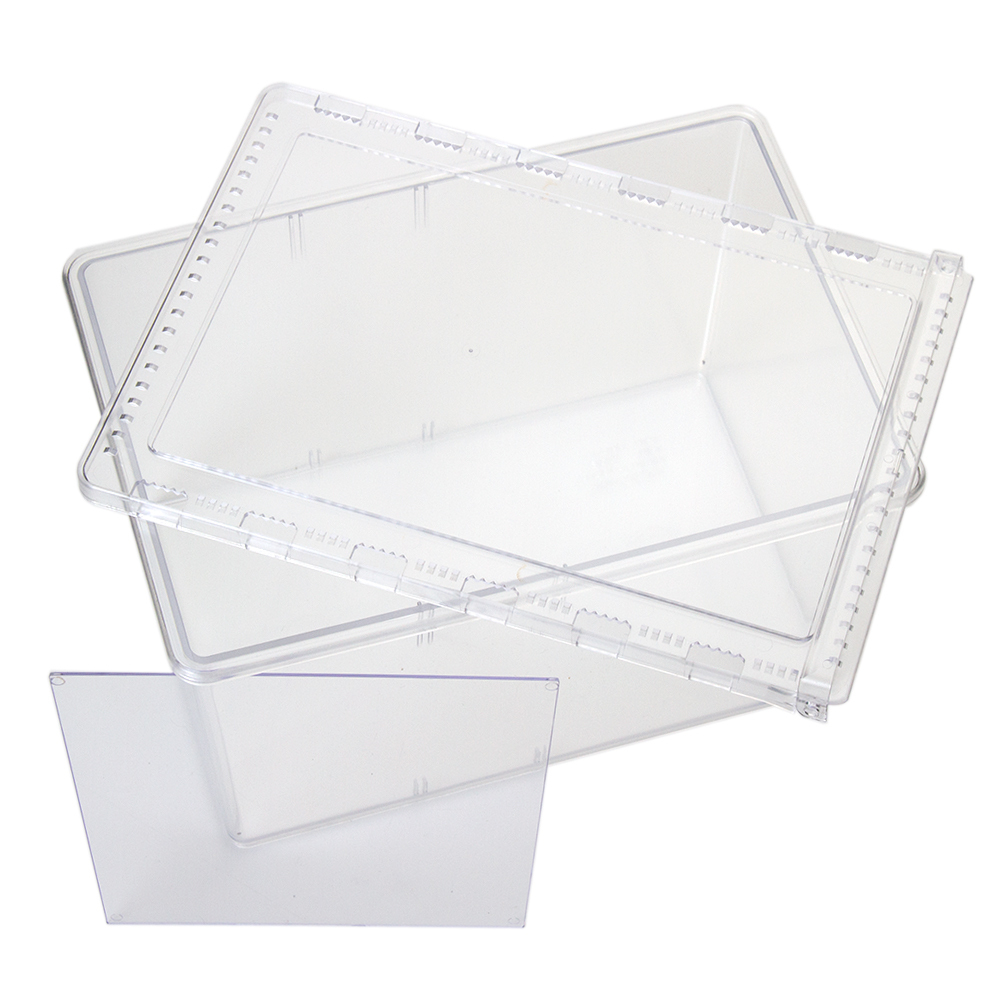  clear slider Large plastic case ×5 piece . one person sama 3 point limit 