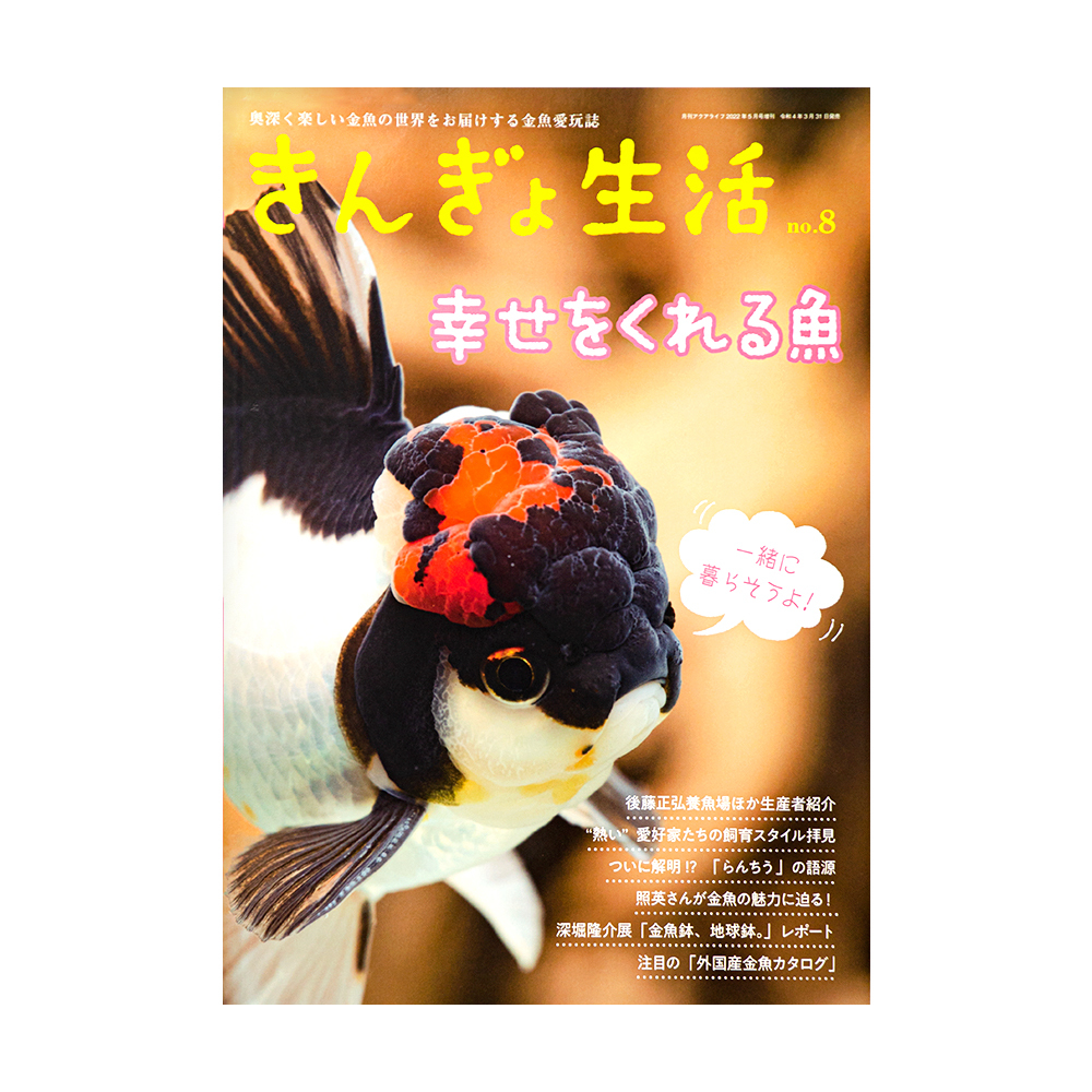 月刊アクアライフ増刊 きんぎょ生活（８） ２０２２年５月号 （エムピージェー）の商品画像