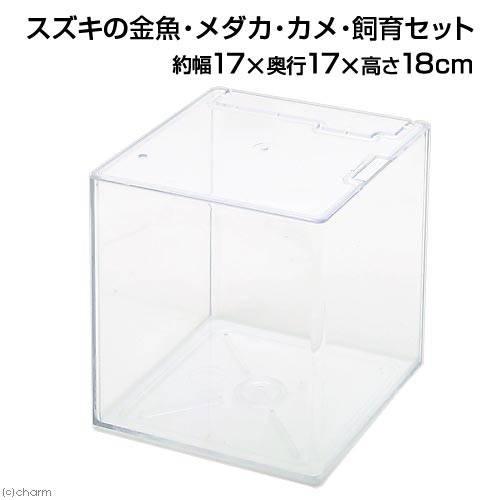 鈴木製作所 金魚 メダカ カメ 飼育セット プラスチック水槽 最安値 価格比較 Yahoo ショッピング 口コミ 評判からも探せる