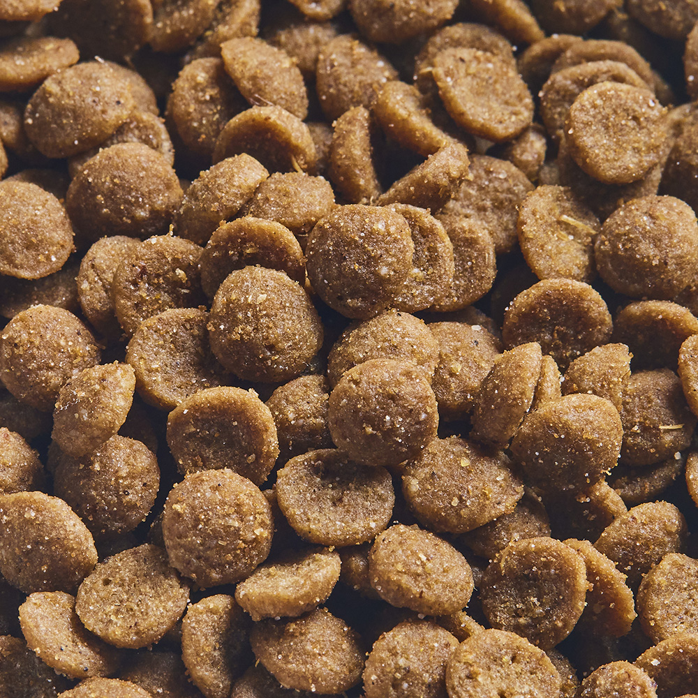  новый Toro . кошка shu pre mo. кошка для chi gold & salmon 400g корм для кошек . один человек sama 5 пункт ограничение кошка 