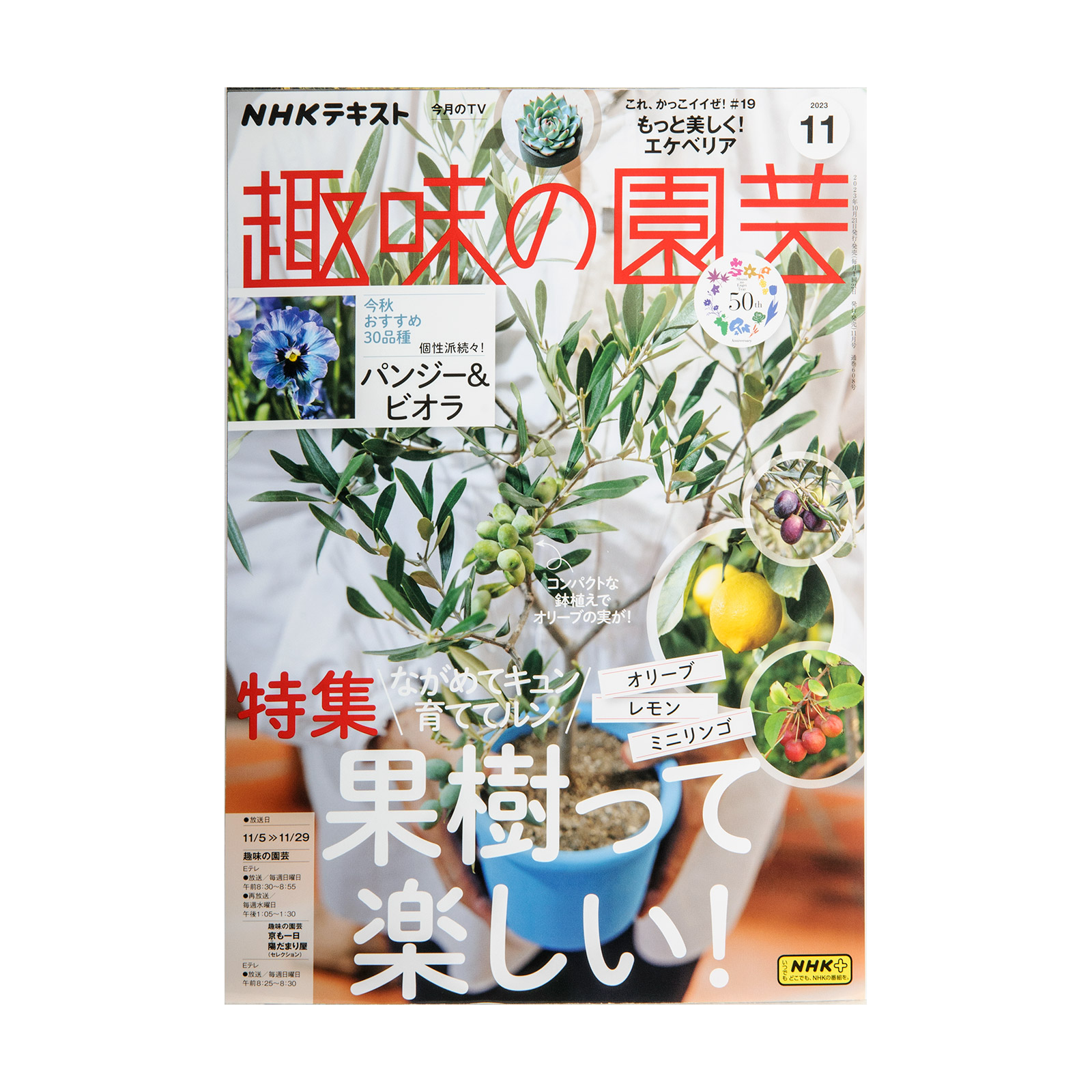 ＮＨＫ　趣味の園芸 ２０２３年１１月号 （ＮＨＫ出版）の商品画像