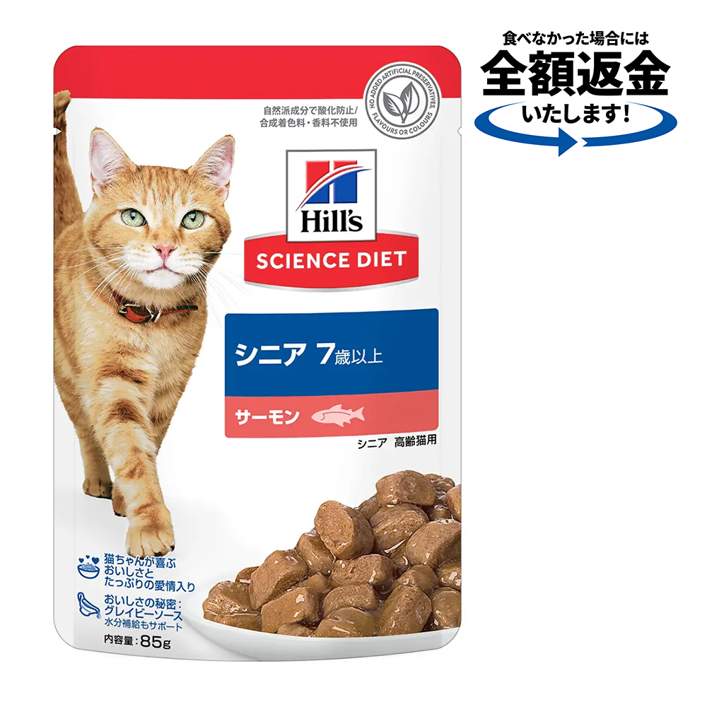 シニア サーモン / 1個