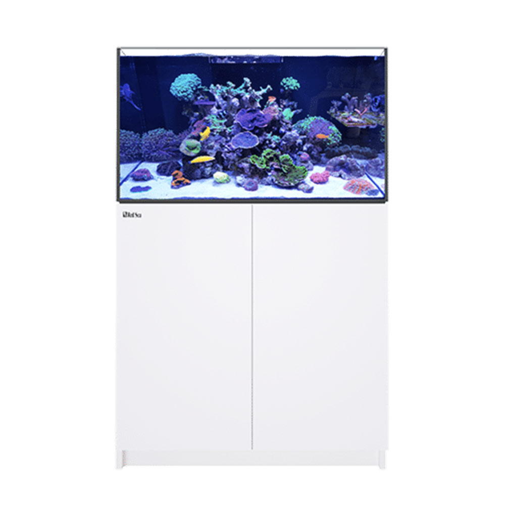 ( super large ) overflow aquarium red si-REEFER MAX 250 G2+ white Honshu Shikoku free shipping * including in a package un- possible * payment on delivery un- possible 500 size 7 mouth 