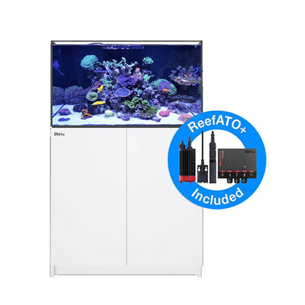( super large ) overflow aquarium red si-REEFER MAX 250 G2+ white Honshu Shikoku free shipping * including in a package un- possible * payment on delivery un- possible 500 size 7 mouth 