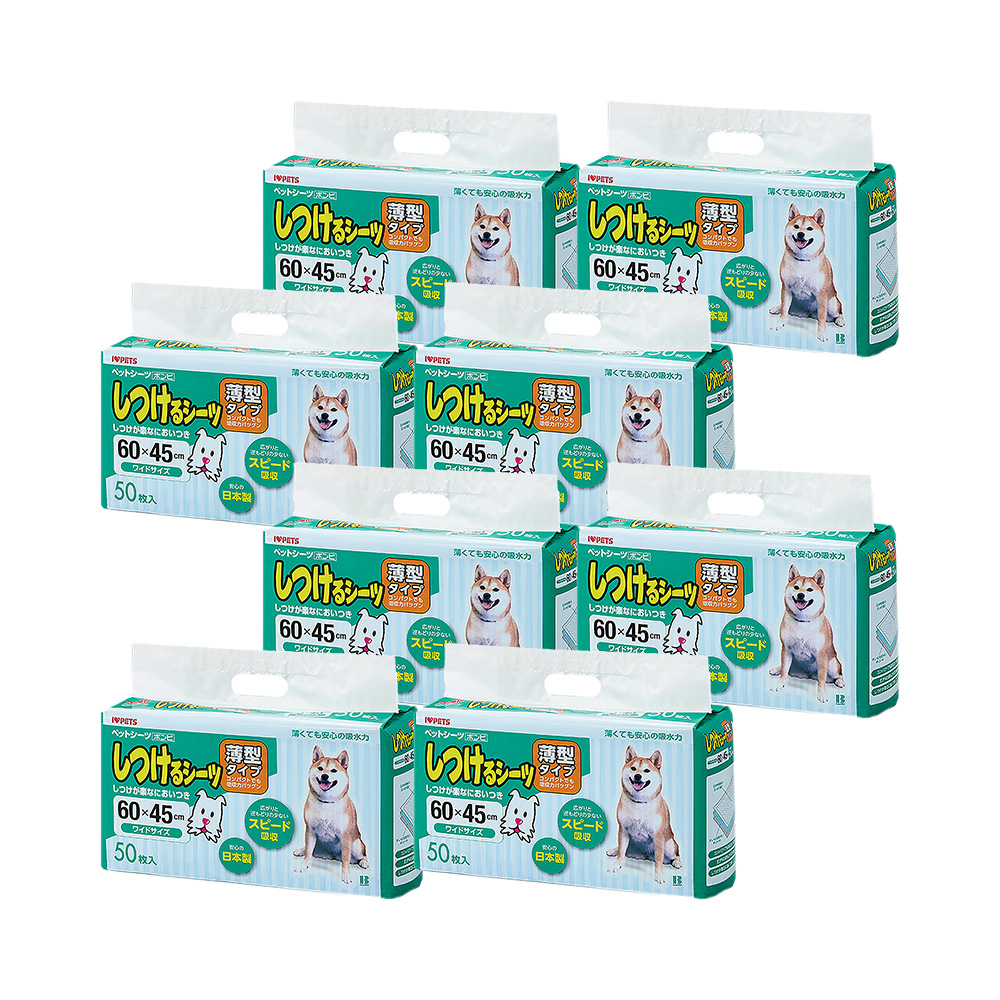 ワイド 50枚 / 8個