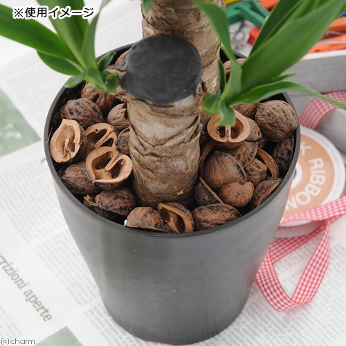 ku... .1L gardening laying materials multi ng material equipment ornament 