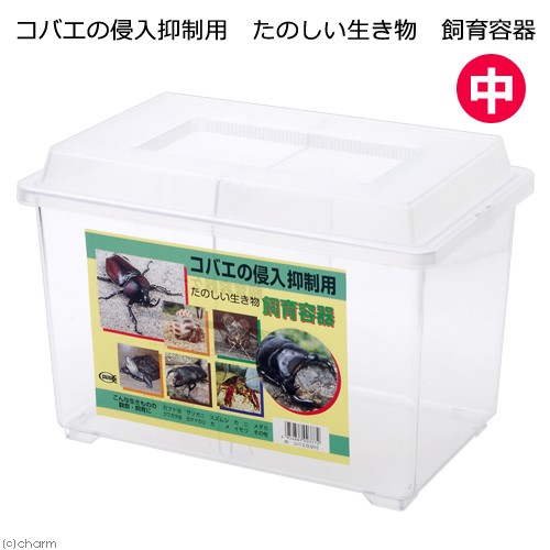  plastic case kobae. . go in suppression for happy living thing breeding container middle bulkhead . attaching insect cage insect rhinoceros beetle stag beetle 