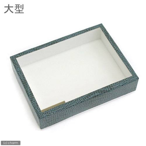 .. insect ball paper made specimen box large insect specimen supplies specimen box 