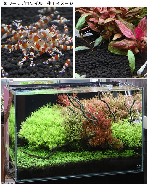  fish . easily ... leaf Pro so il normal 8L tropical fish supplies . one person sama 3 point limit 