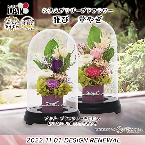[ liLYS epice ]li белка epi s консервированный цветок . цветок ... цветок Mini размер memorial Space . сделано в Японии лиловый .. одиночный товар b