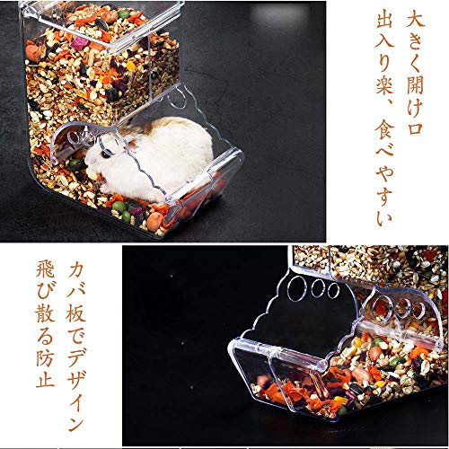 Hitasi hamster feeding hamster .-.... small animals for automatic feeding small bird for tableware hedgehog feed inserting . absence number measures fixation automatic feeder uselessness prevent 