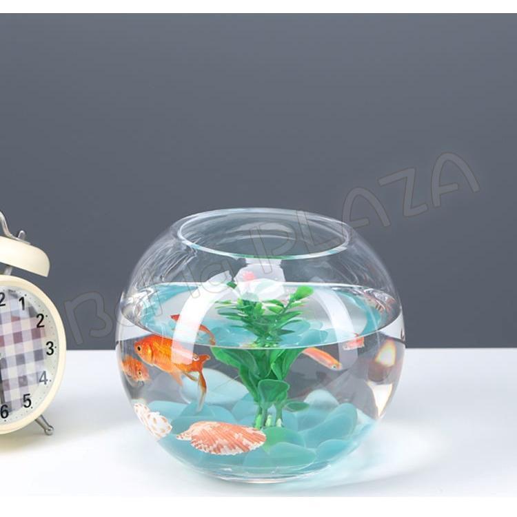 30cm fishbowl glass made transparent circle pot Japanese style pretty Mini aquarium stylish multifunction decorative plant . inserting all-purpose glass container high capacity goldfish betta me Dakar red fillet etc. sand ..