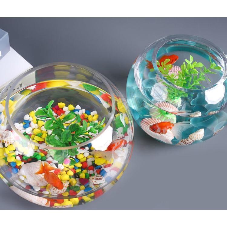 30cm fishbowl glass made transparent circle pot Japanese style pretty Mini aquarium stylish multifunction decorative plant . inserting all-purpose glass container high capacity goldfish betta me Dakar red fillet etc. sand ..