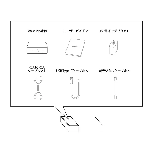 WiiM Pro AirPlay 2 receiver remote control attaching set Chromecast Audio,WiFi Multiroom Streamer