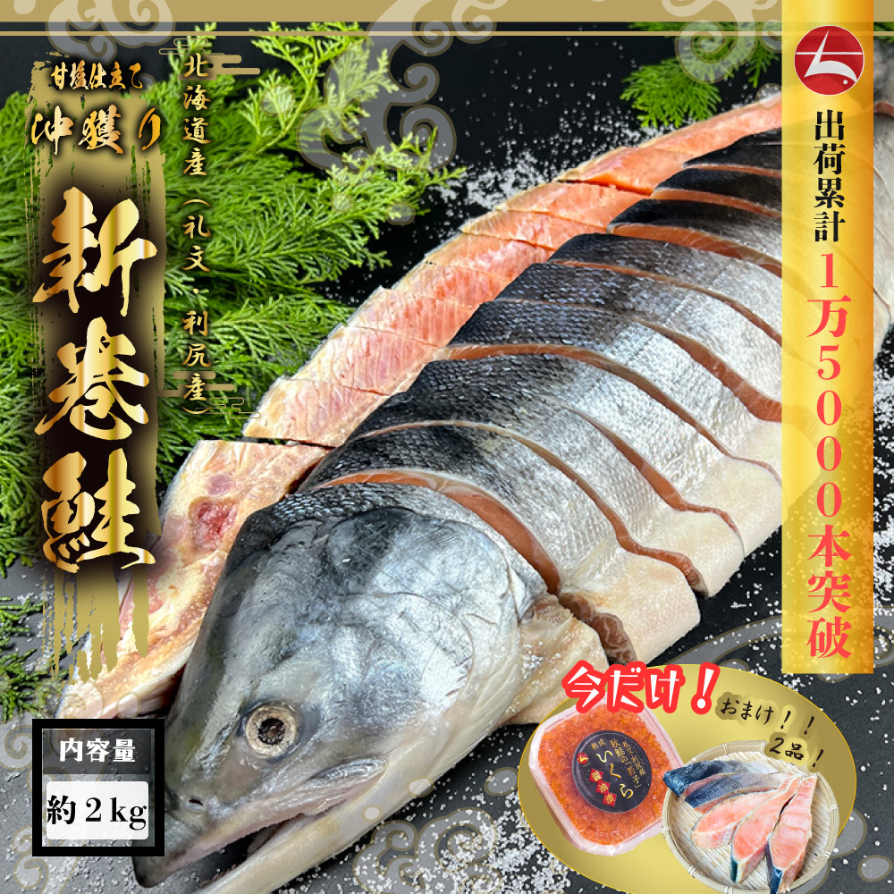 (b026-01) Hokkaido . writing island production autumn salmon . cut . aramaki salmon 2.5kg* now only ...100g attaching *[ Honshu * Shikoku Area free shipping ].... gift . volume salmon 